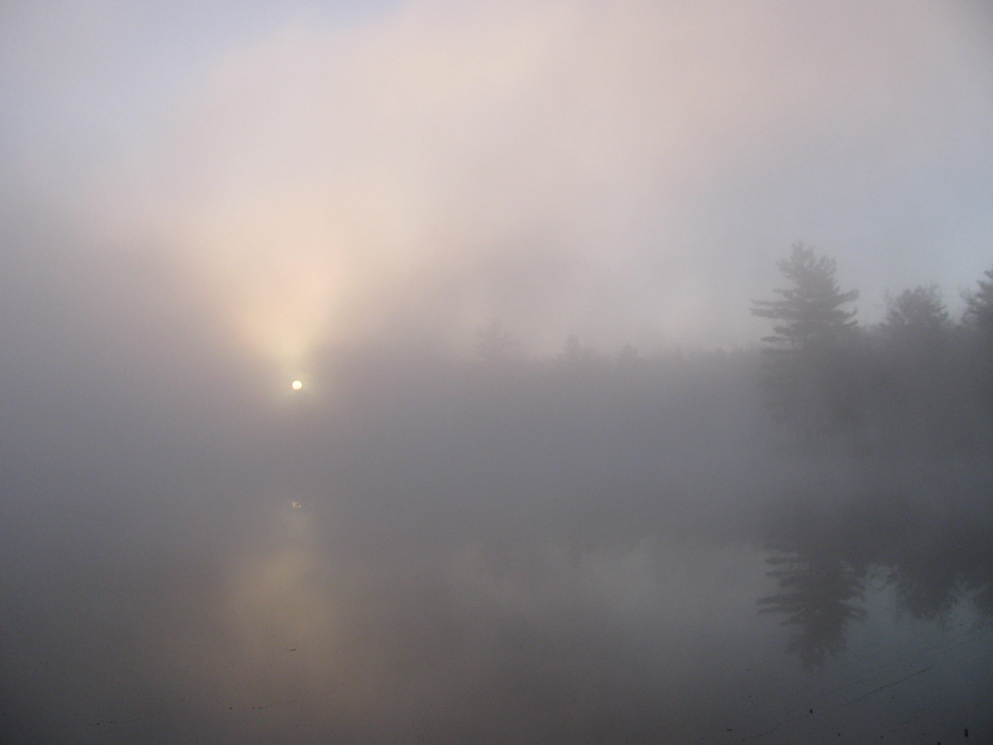 fog sunrise