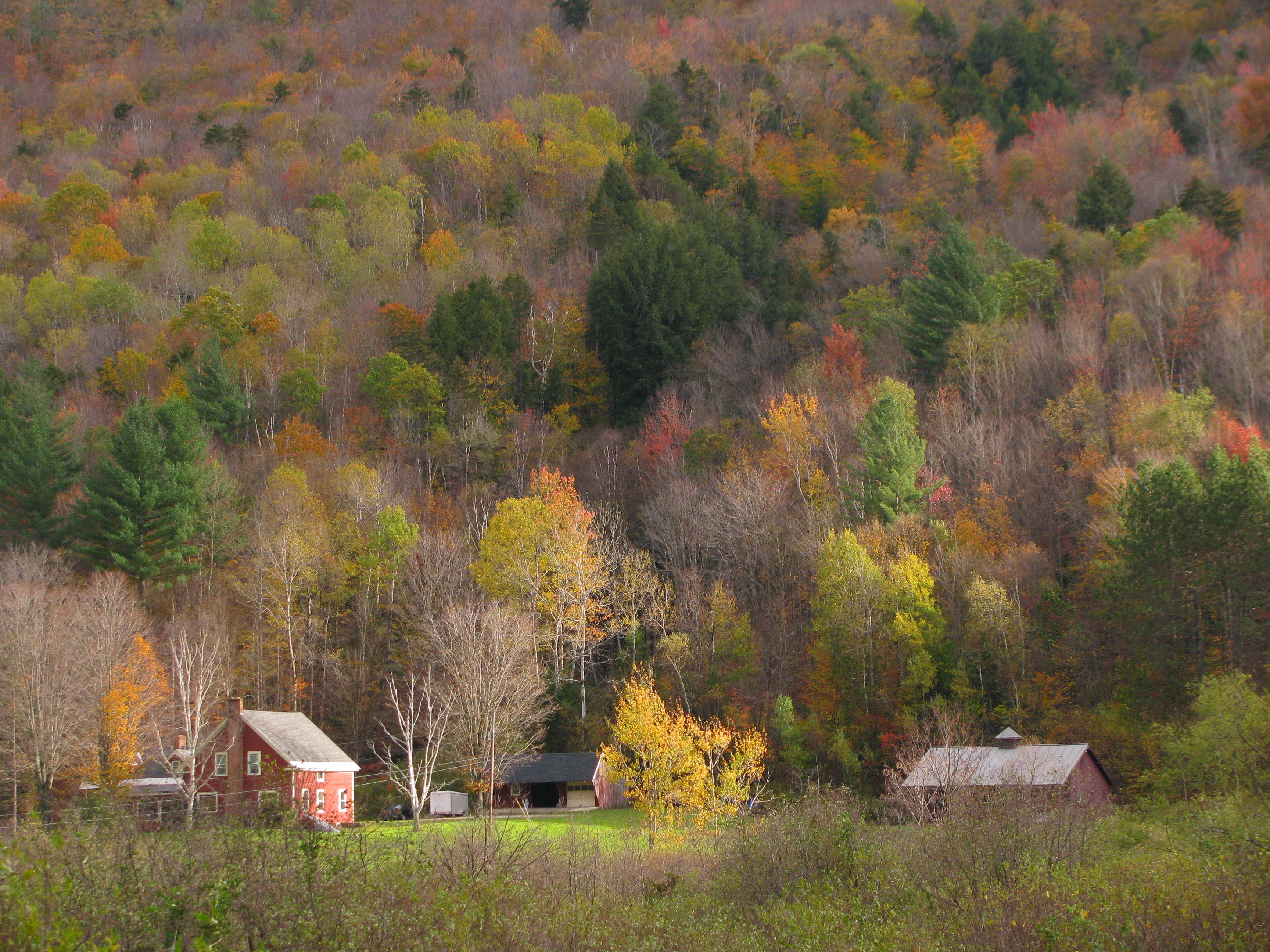 Vermont farm