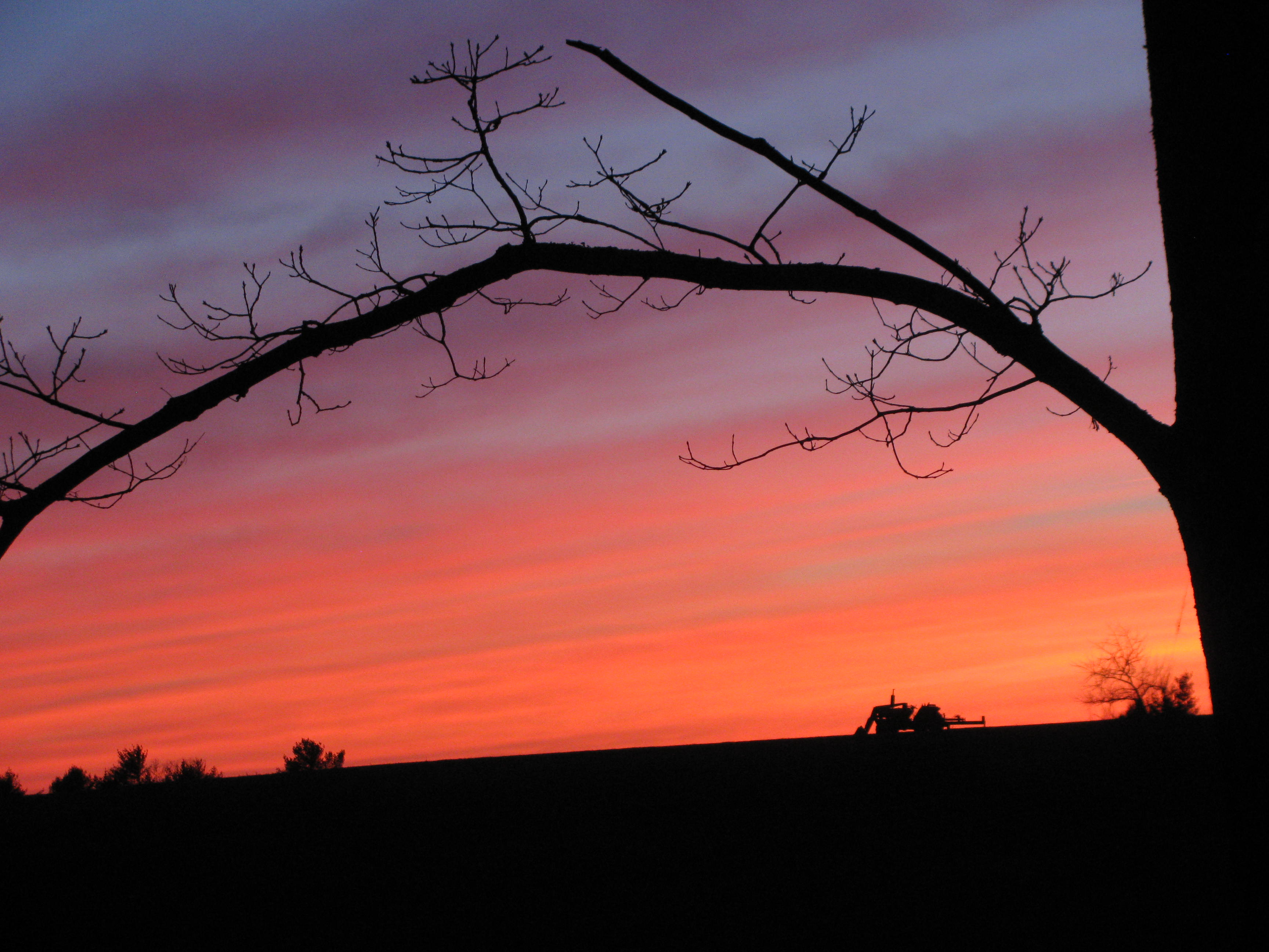 farm sunset